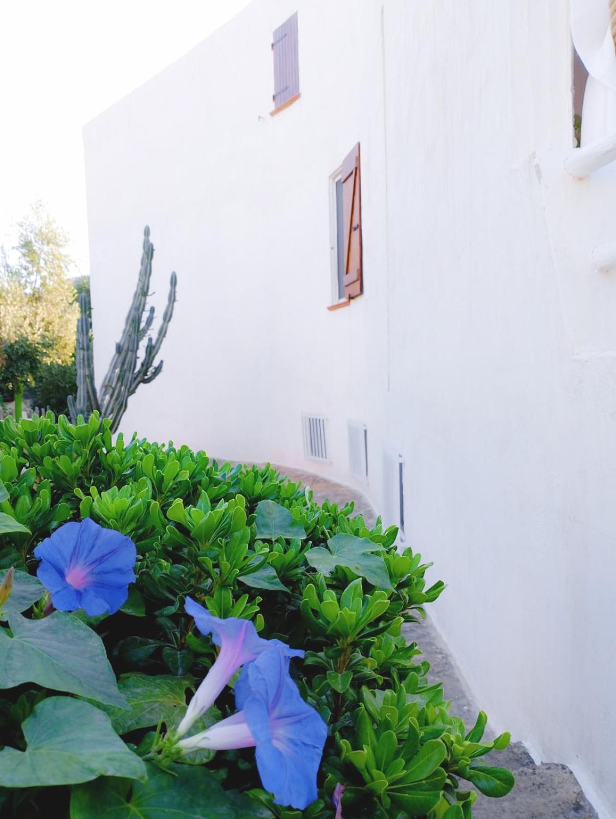 Villa Anna 300 M Dal Mare Torre delle Stelle Exterior photo
