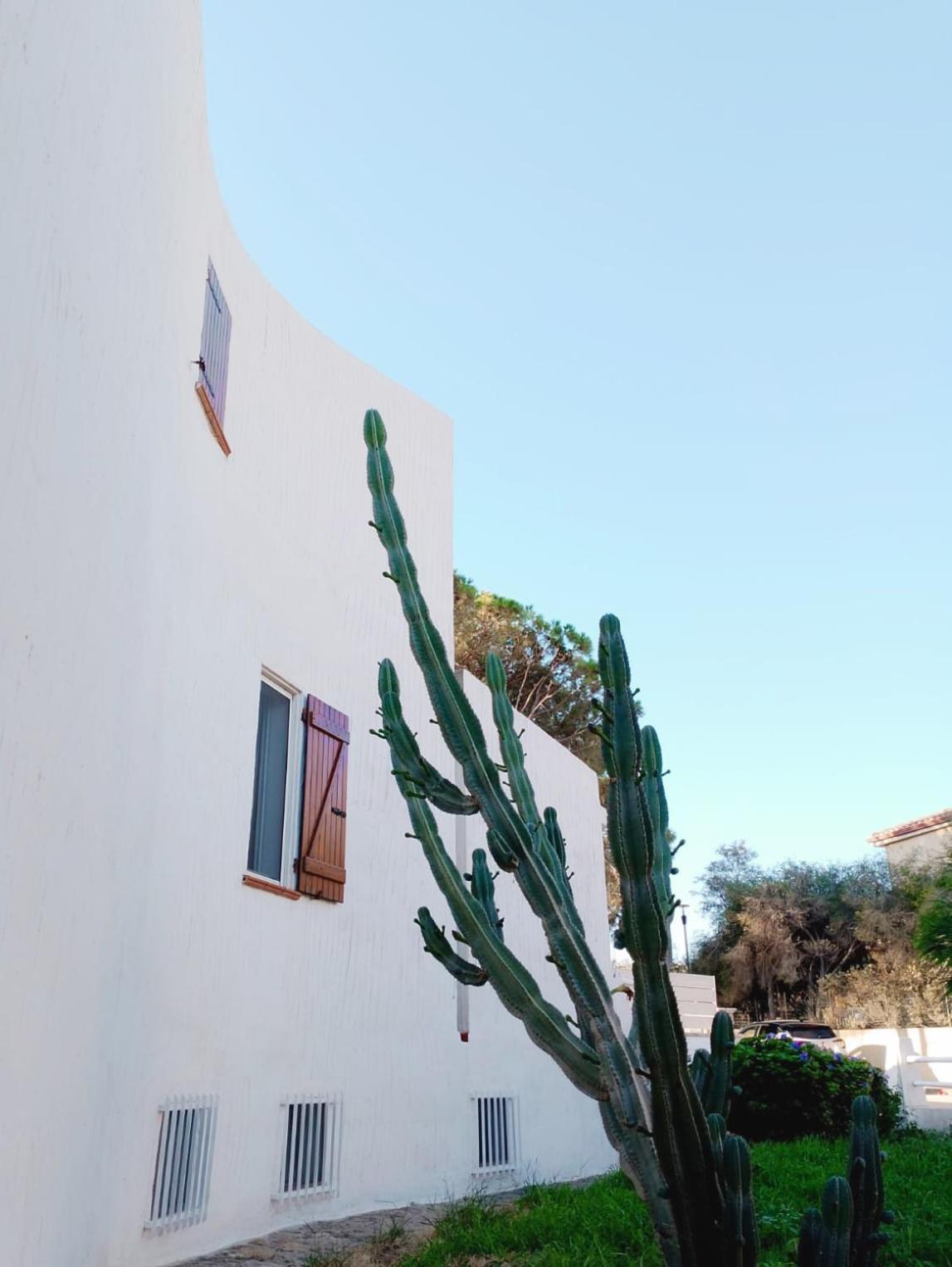 Villa Anna 300 M Dal Mare Torre delle Stelle Exterior photo